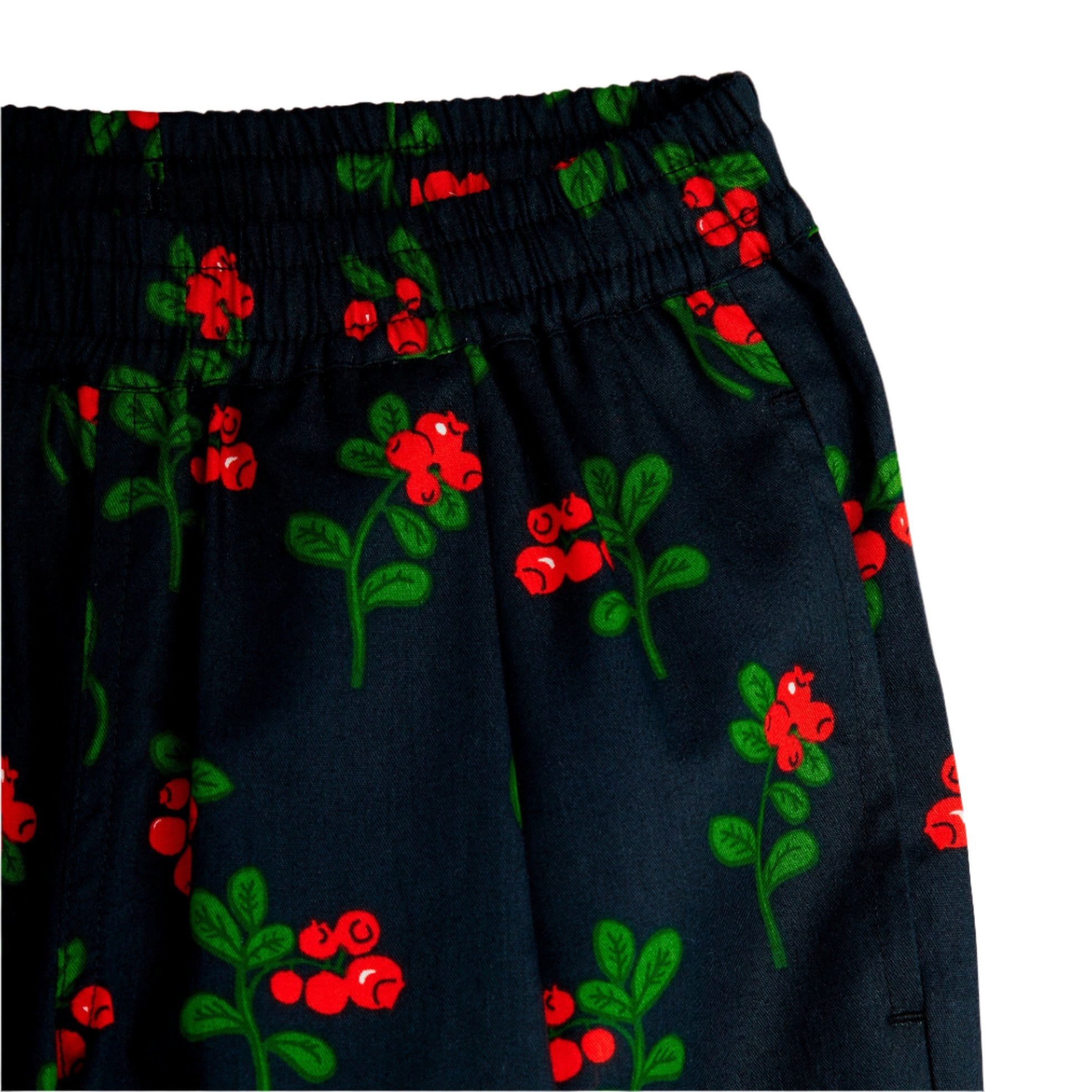 Navy blue pants with red and green floral pattern on a white background - Little-ish