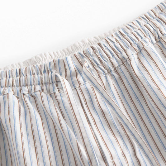 PLANO BLUE IRIS STRIPE PANT