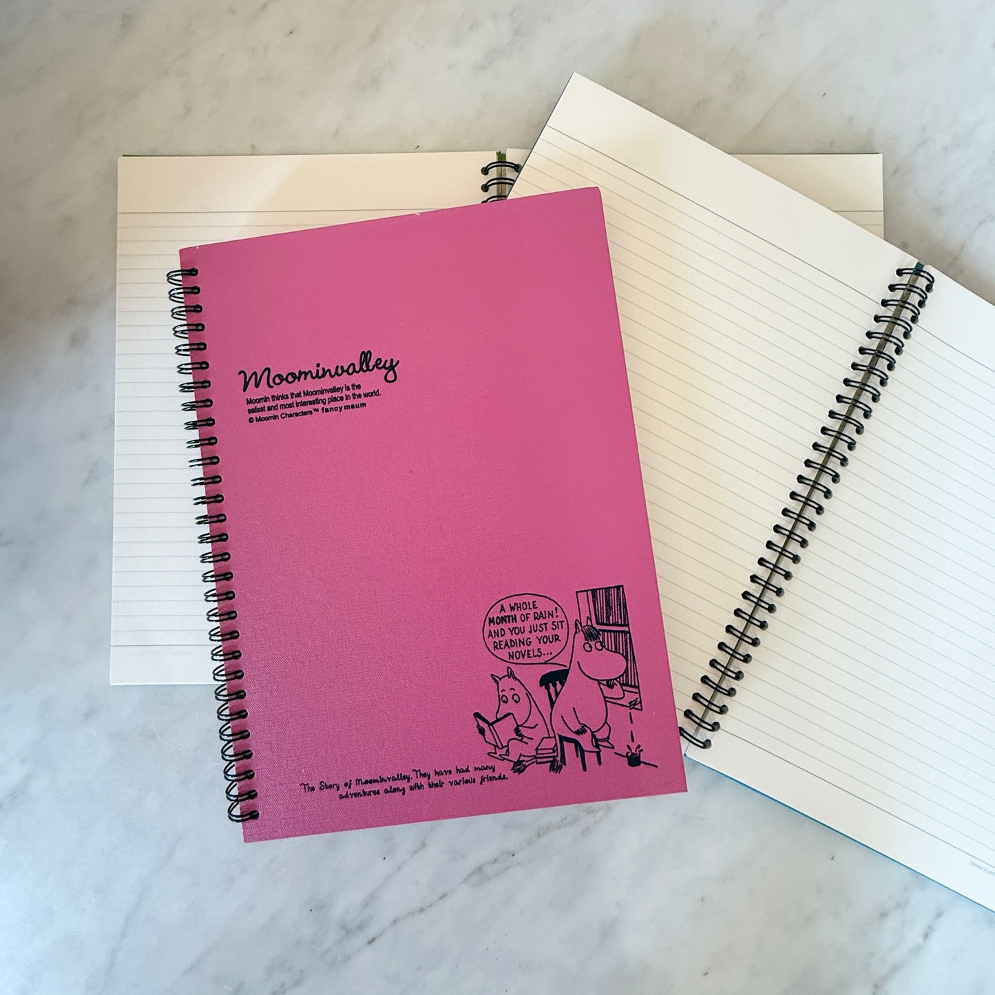 MOOMIN SPIRAL HARDCOVER NOTEBOOK
