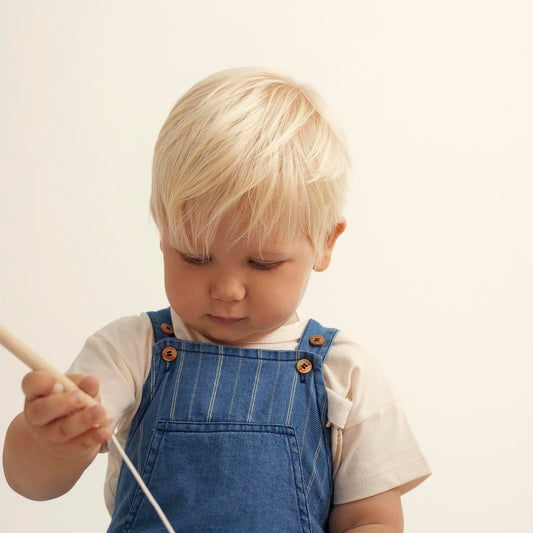 SAM STRIPE DENIM OVERALLS