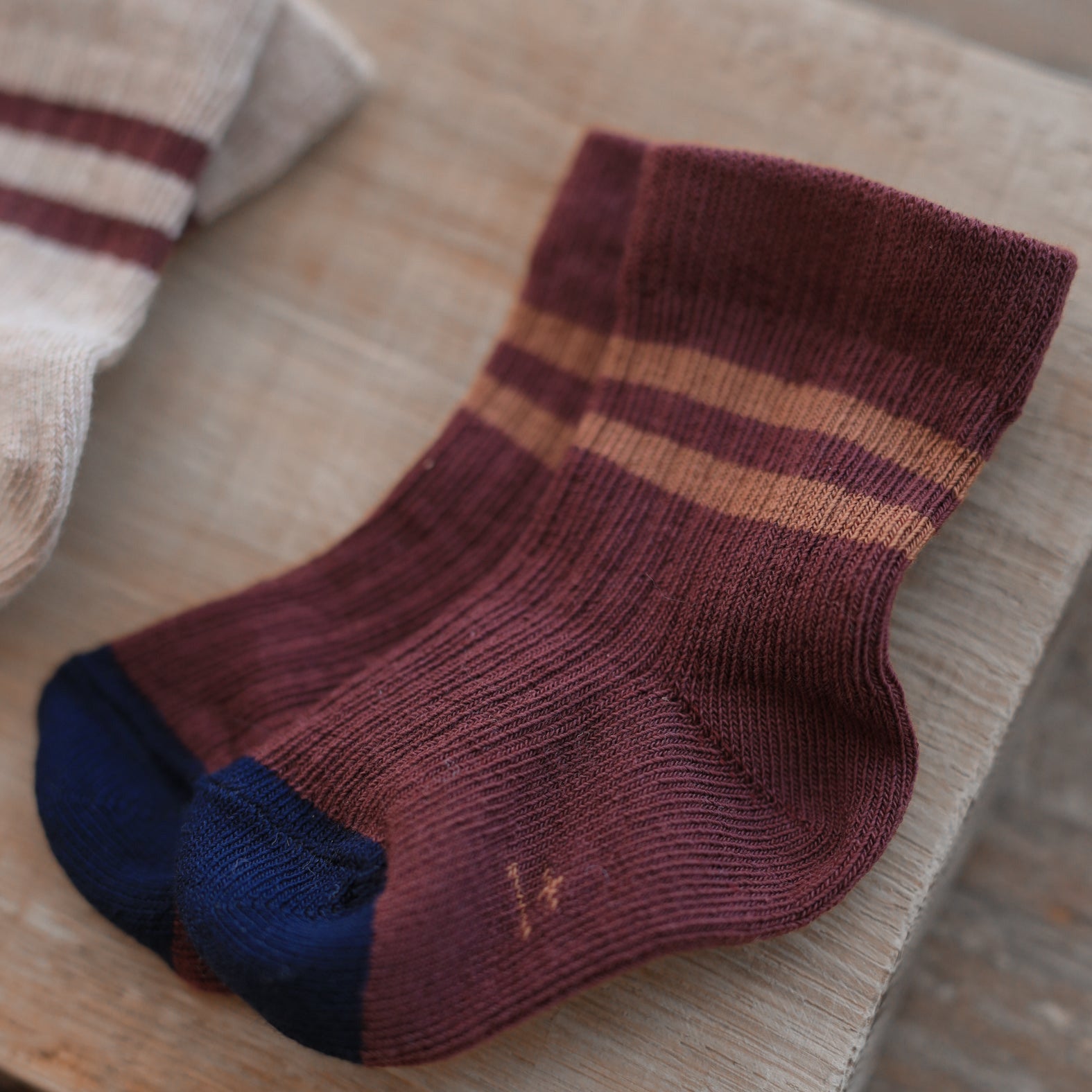 SOREN RIBBED PLAIN SOCKS - MELANZANA - Little-ish