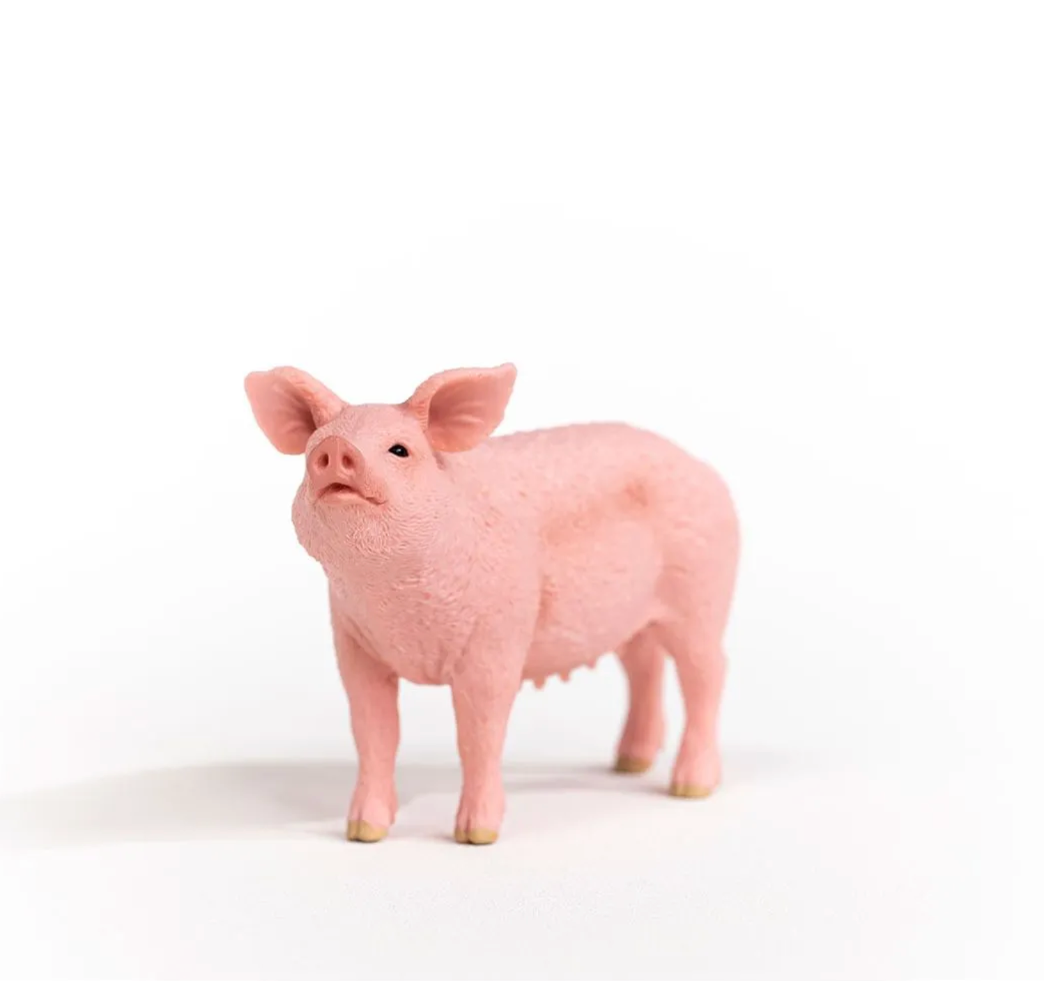 SCHLEICH PIG - Little-ish