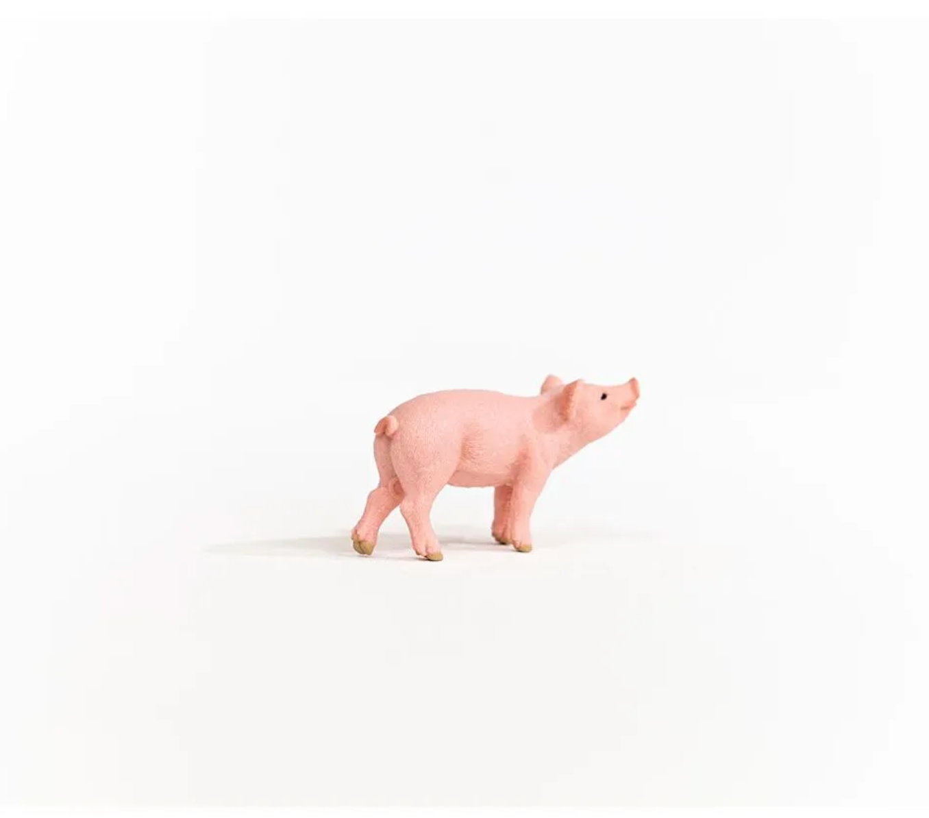 SCHLEICH PIGLET