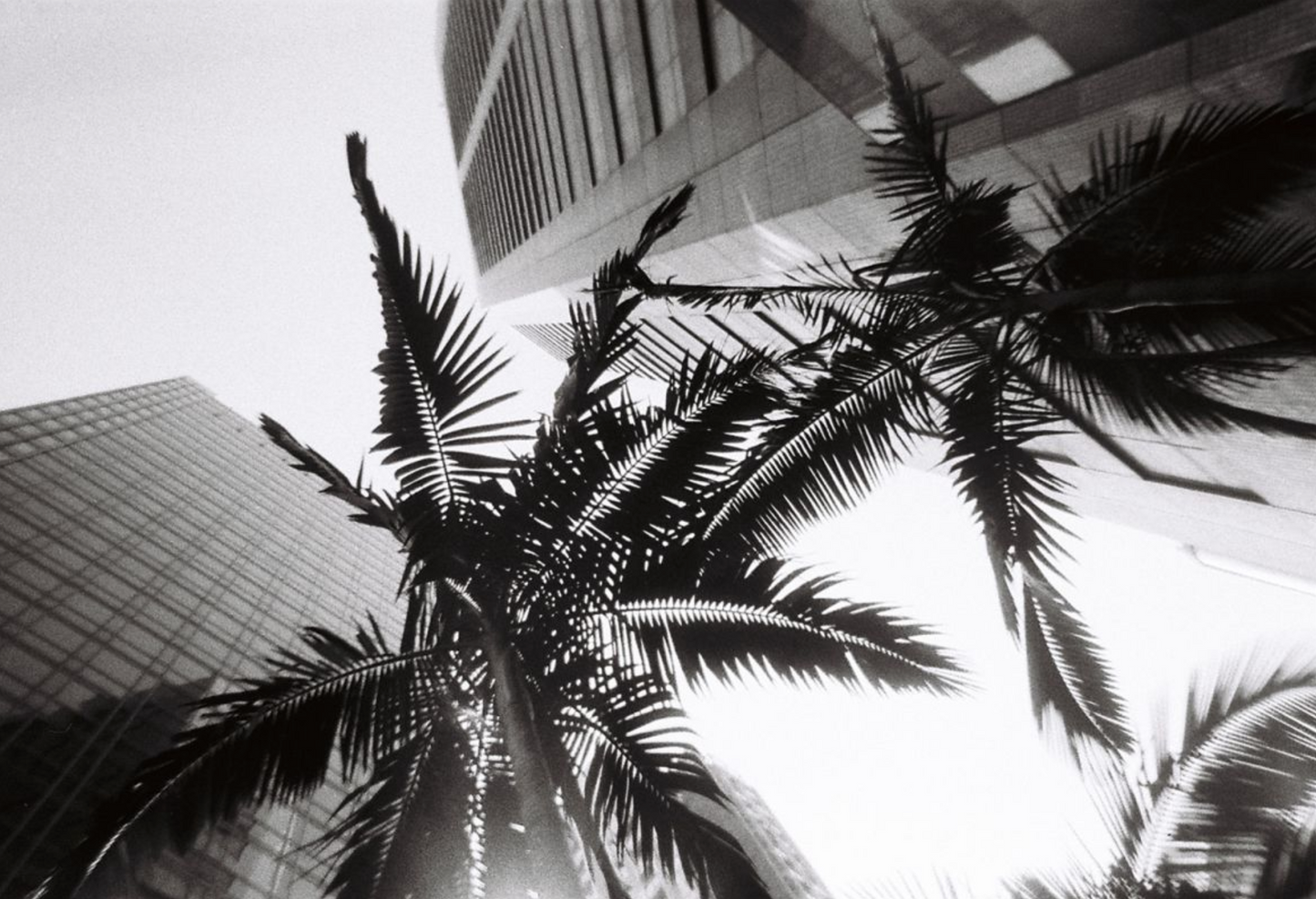 SIMPLE USE 35MM CAMERA - BLACK & WHITE