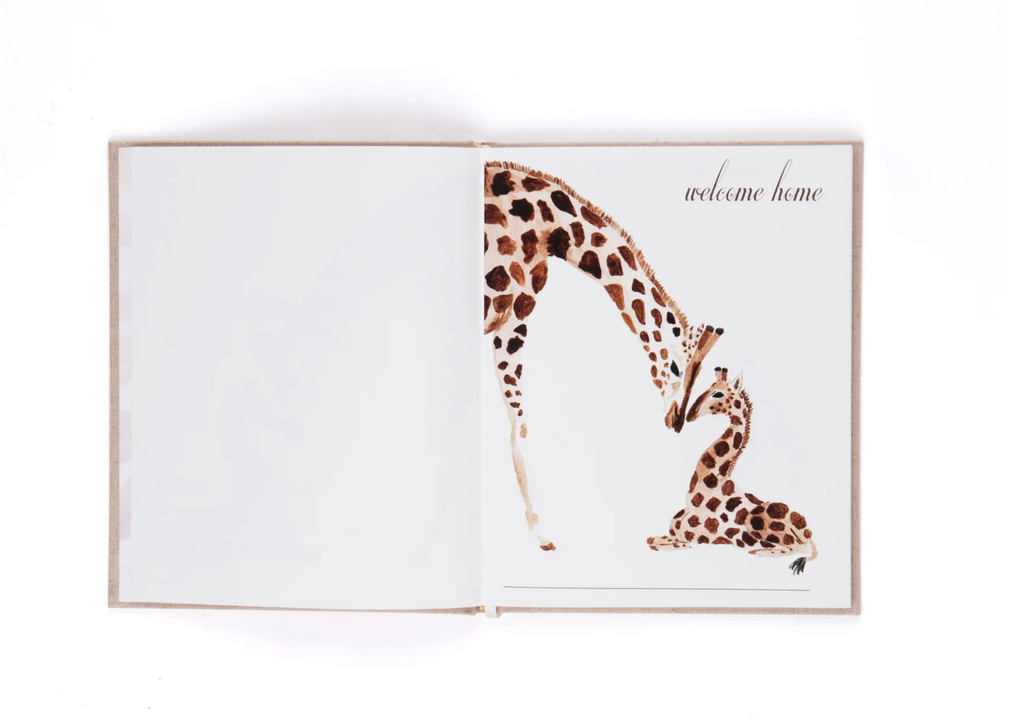 BABY BOOK