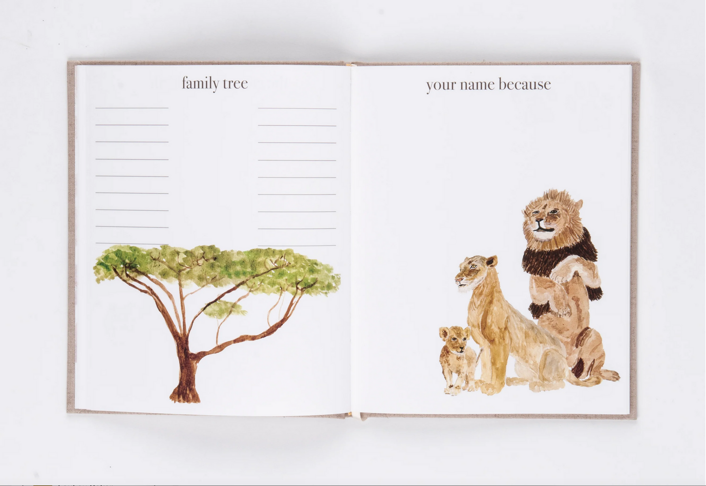 BABY BOOK