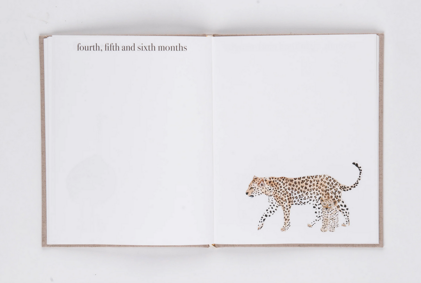 BABY BOOK