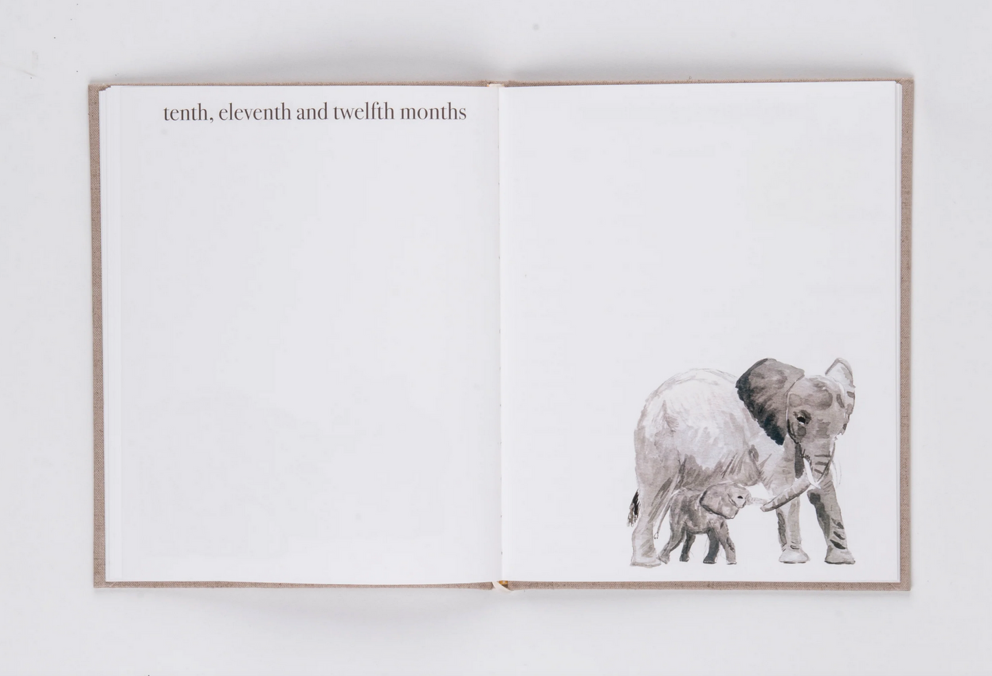 BABY BOOK