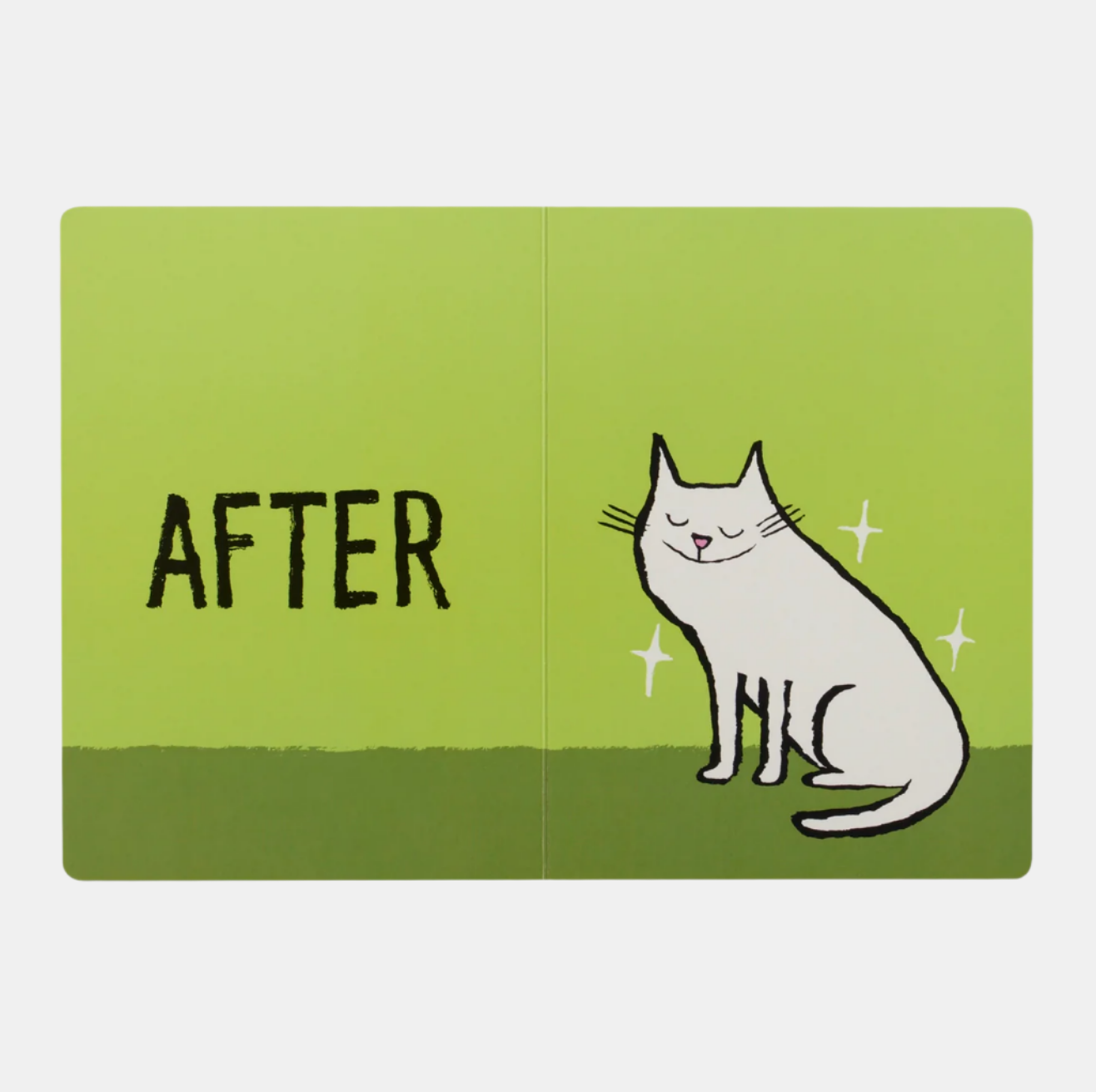 BEFORE AND AFTER BOARD BOOK