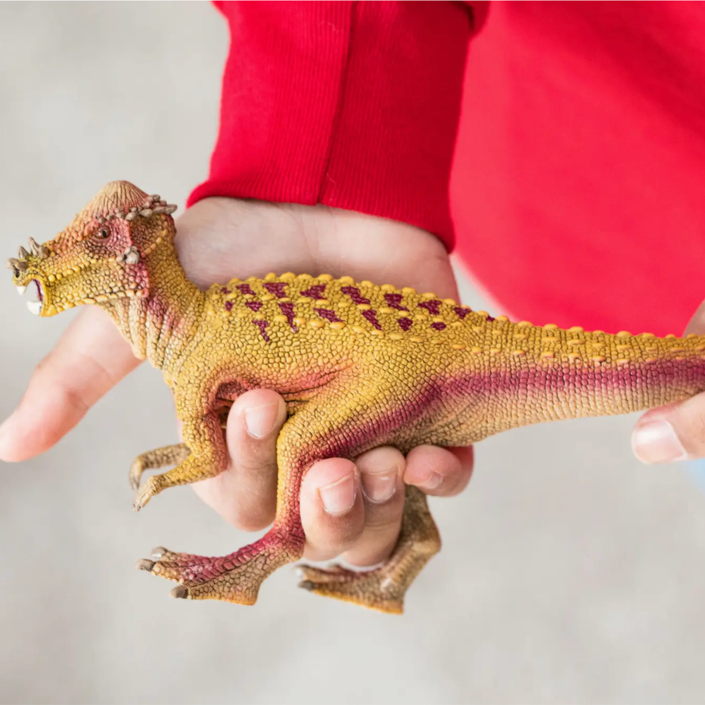 SCHLEICH PACHYCEPHALOSAURUS DINOSAUR - Little-ish