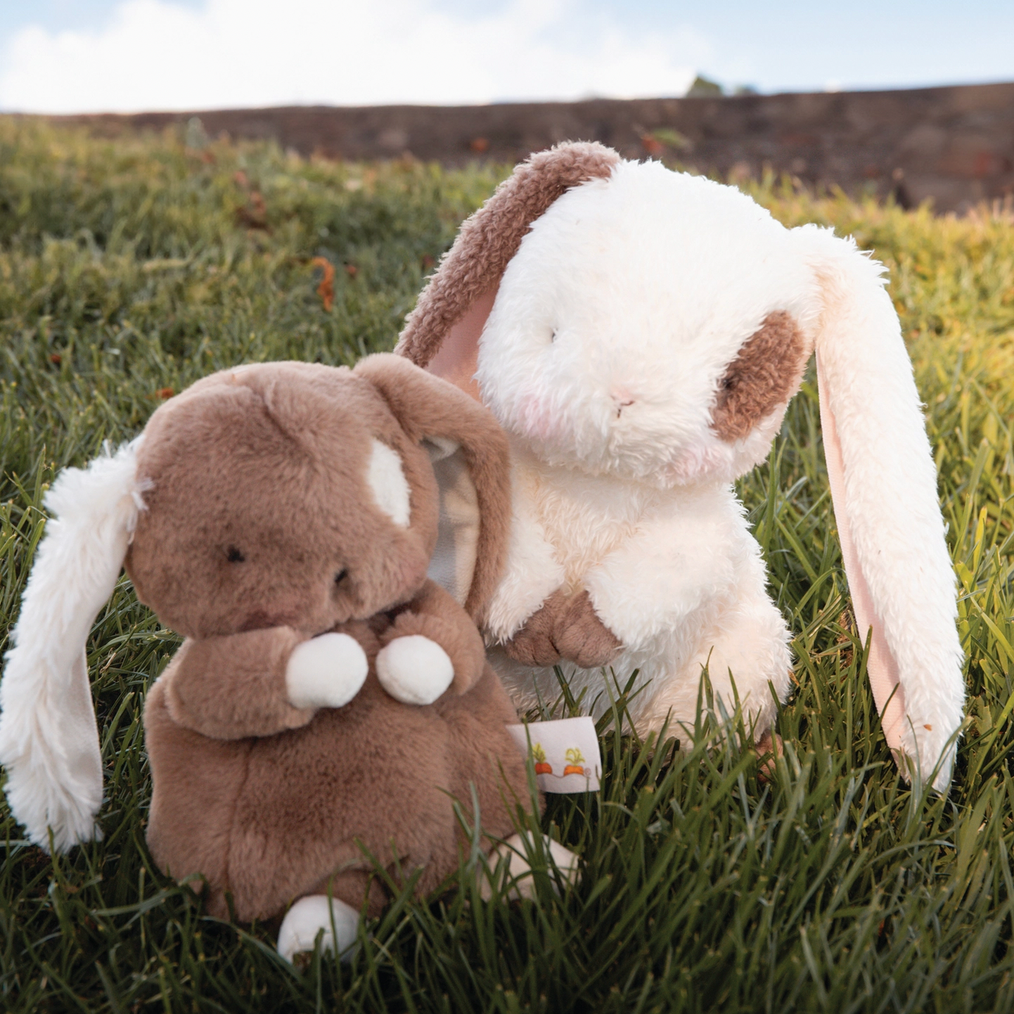 HERBY HARE BUNNY