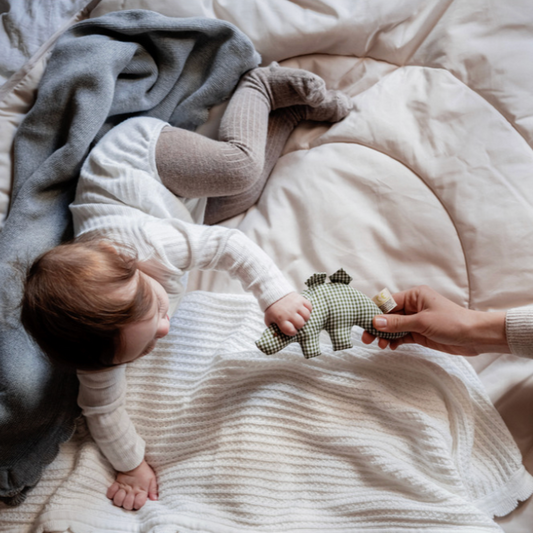 GRABBER DINO GREEN PLAID