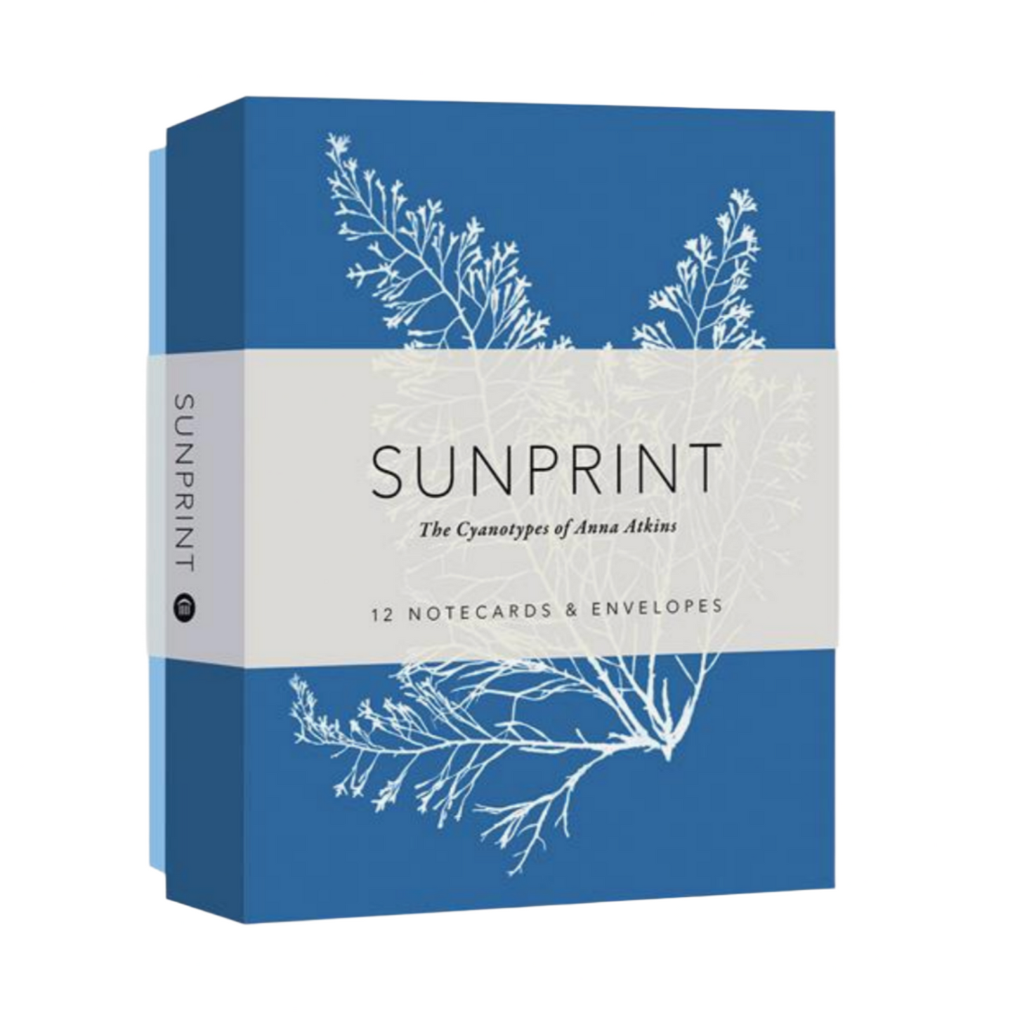 SUNPRINT NOTECARDS