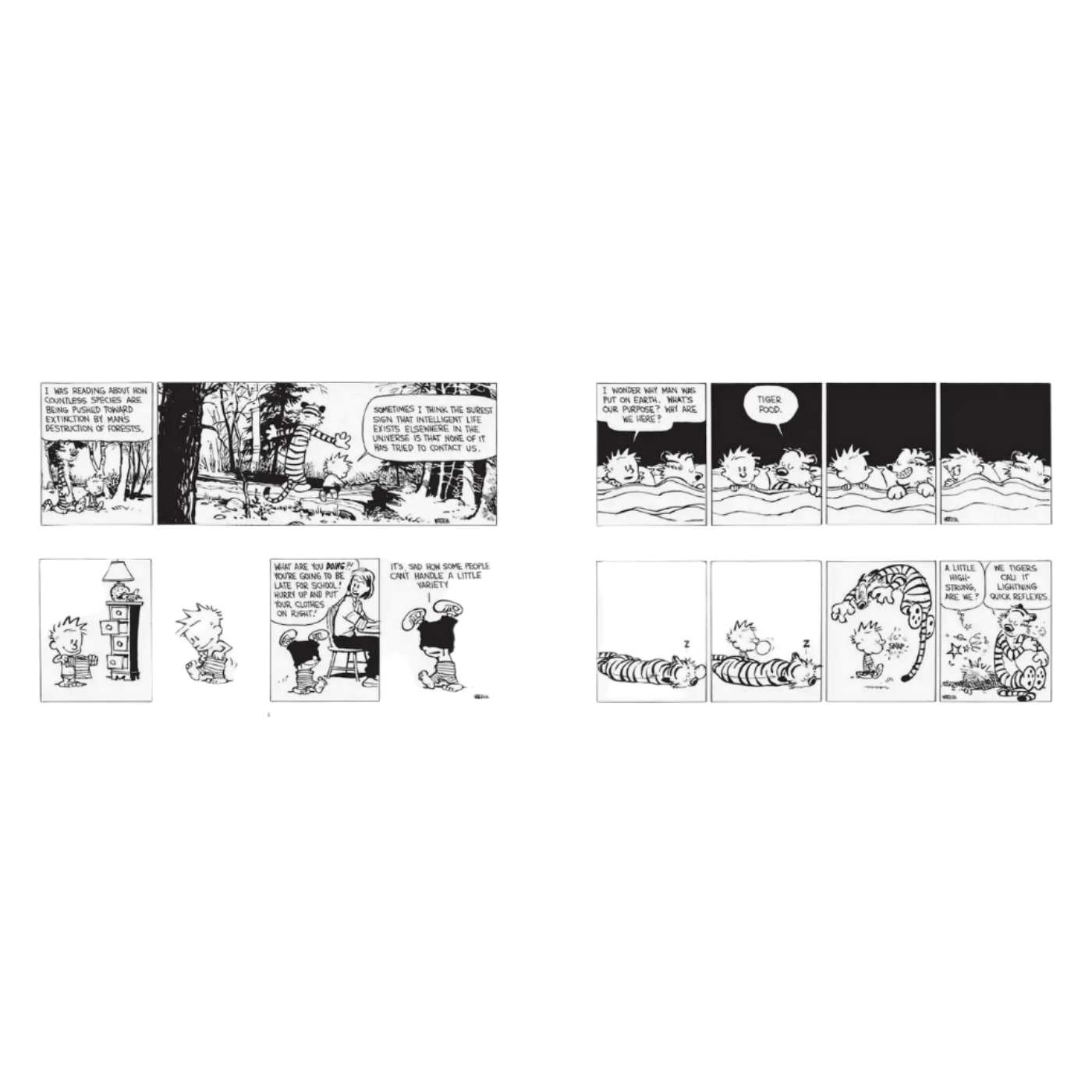 CALVIN AND HOBBES PORTABLE COMPENDIUM SET 4