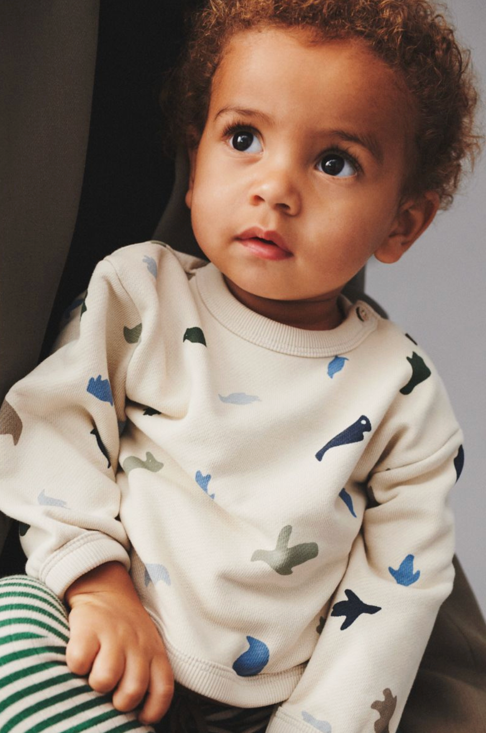 EMERY DINO SWEATSHIRT - Little-ish