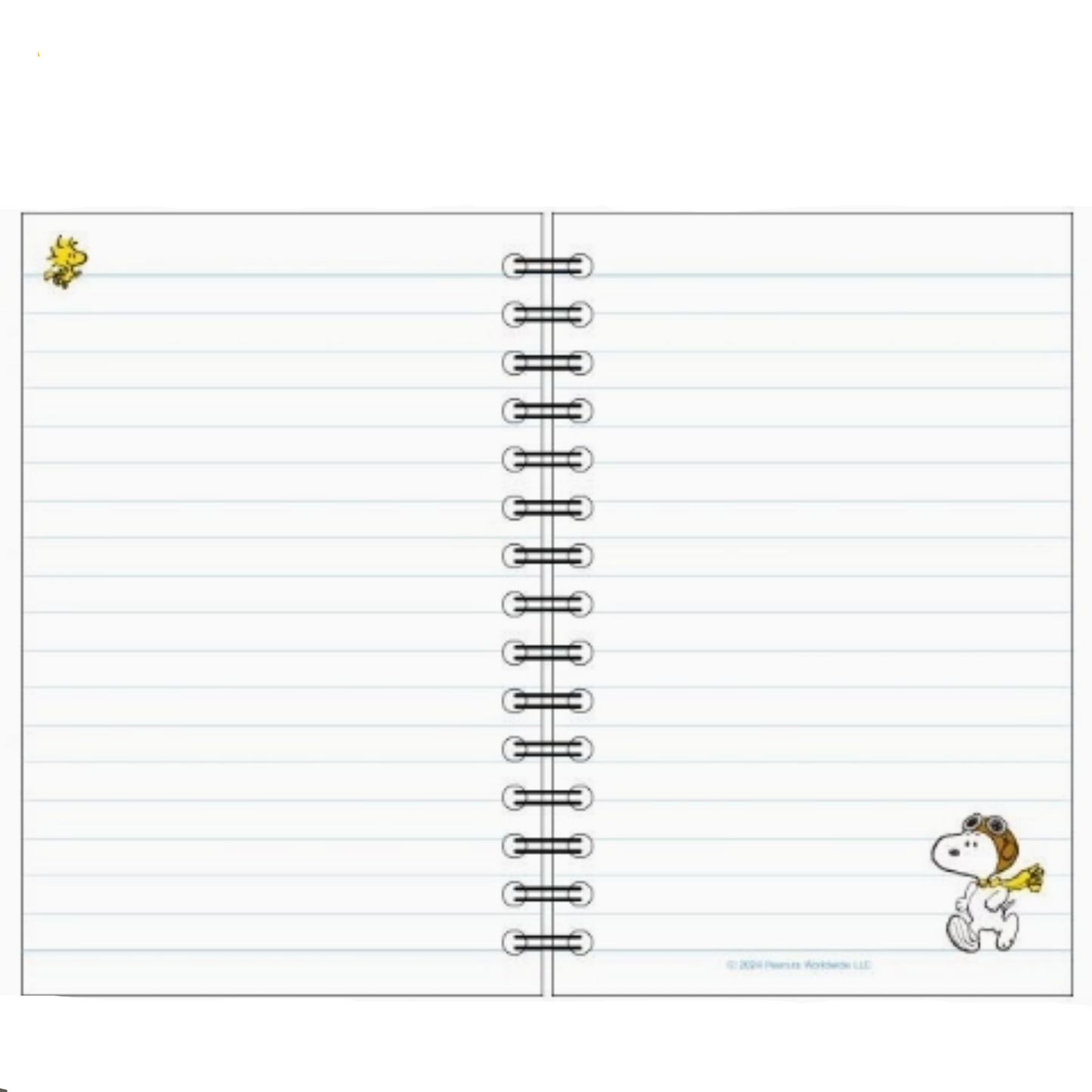 Computer screen displaying a product page with a notebook design and cartoon character.