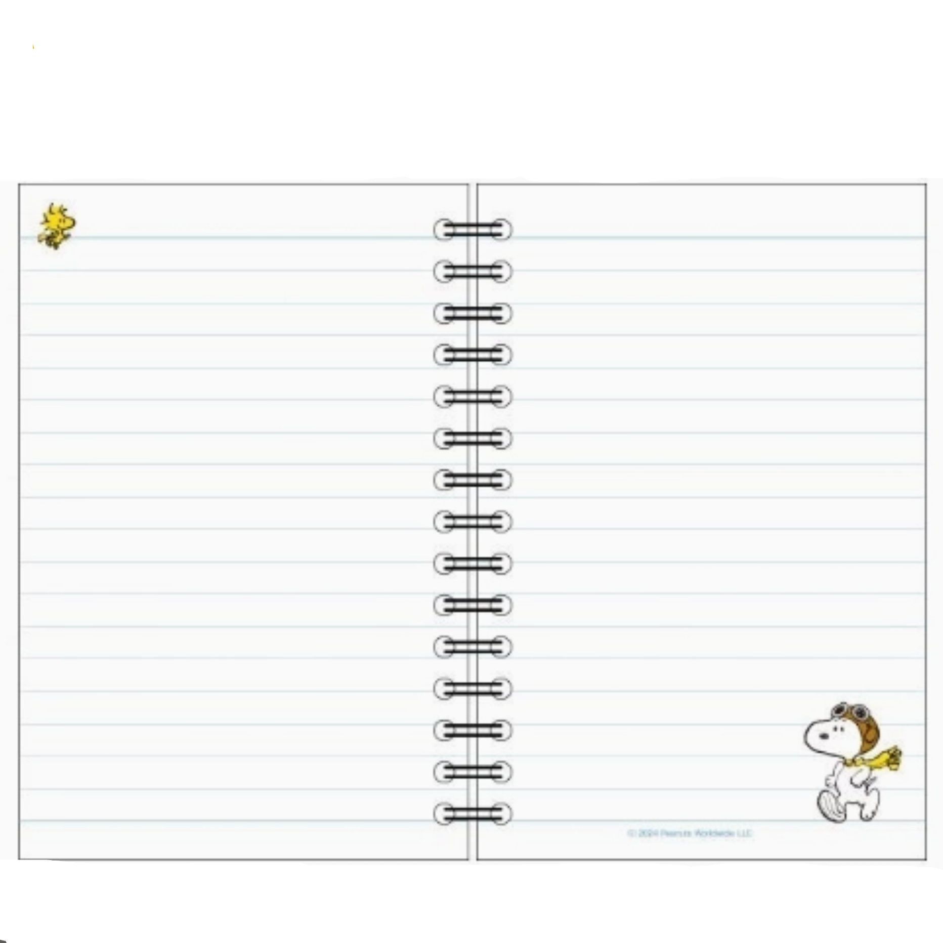 Computer screen displaying a product page with a notebook design and cartoon character.