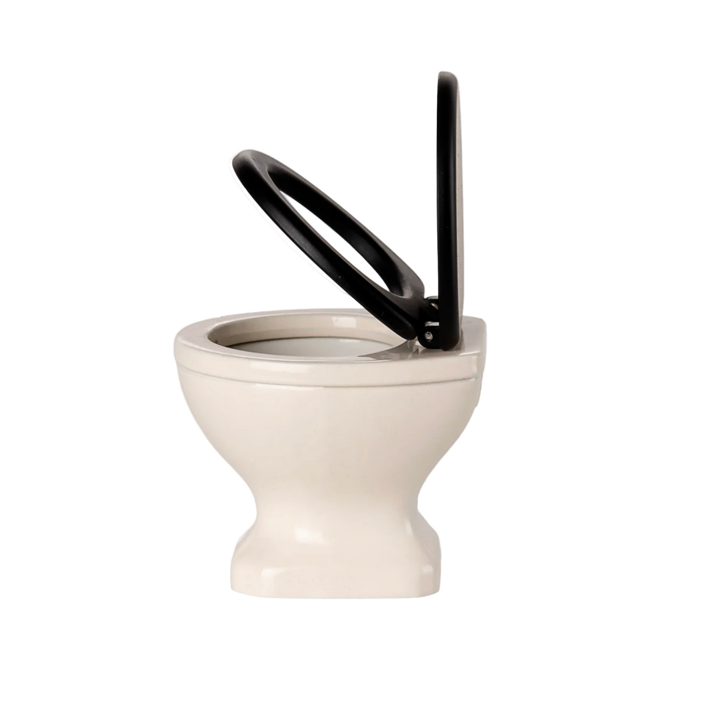 White toilet with black seat on a computer screen