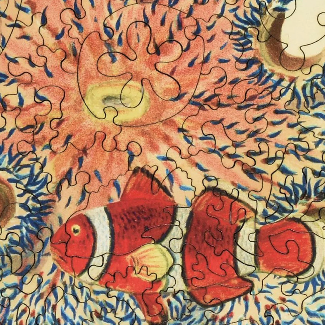 Jigsaw puzzle with a colorful design of fish and abstract patterns - Little-ish