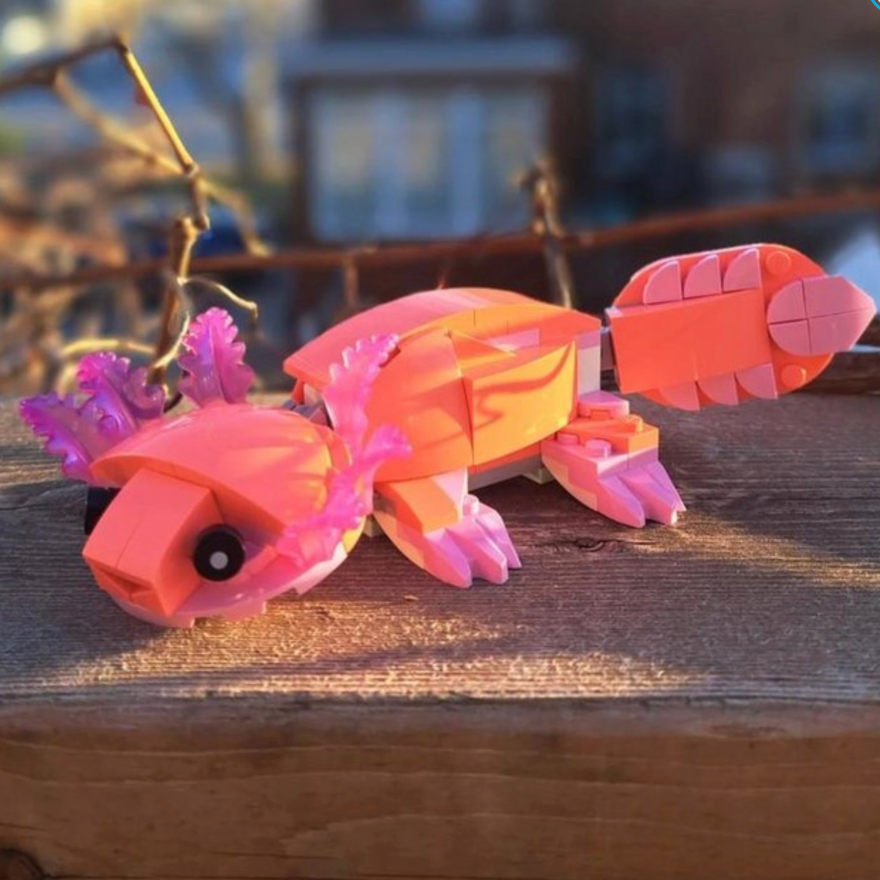 Pink and orange toy crab on a wooden surface with a blurred background