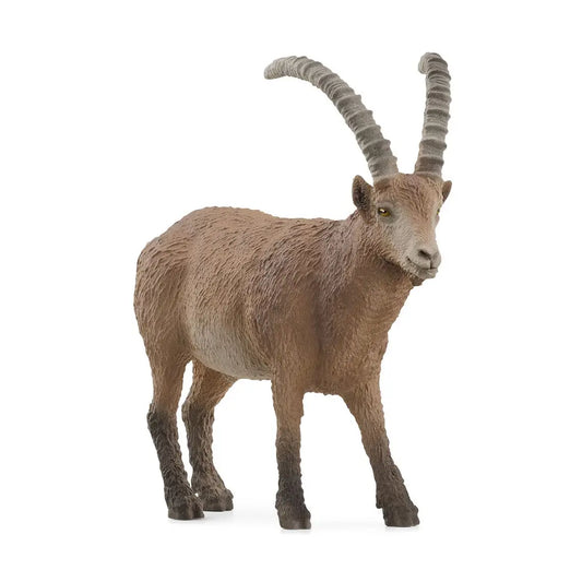 IBEX CAPRICORN