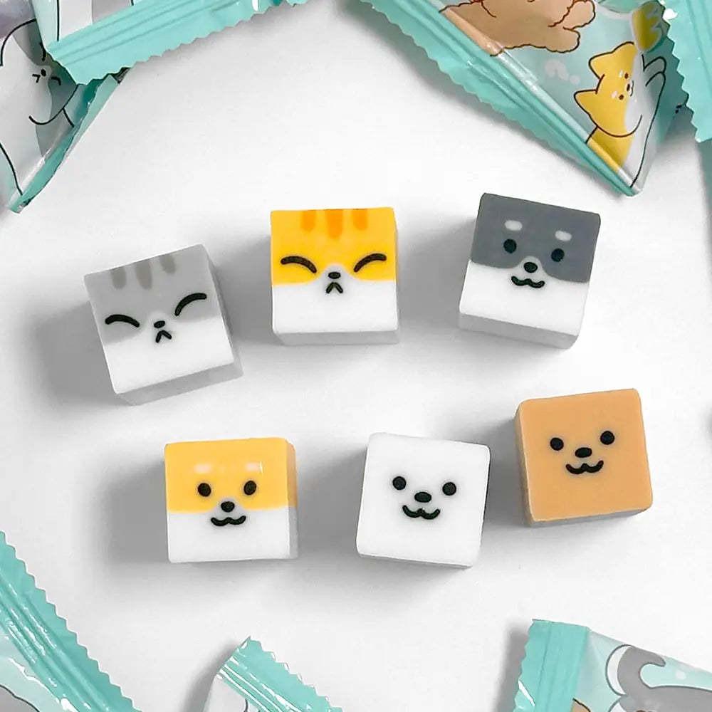 Set of small square erasers with animal faces on a white background — Little-ish
