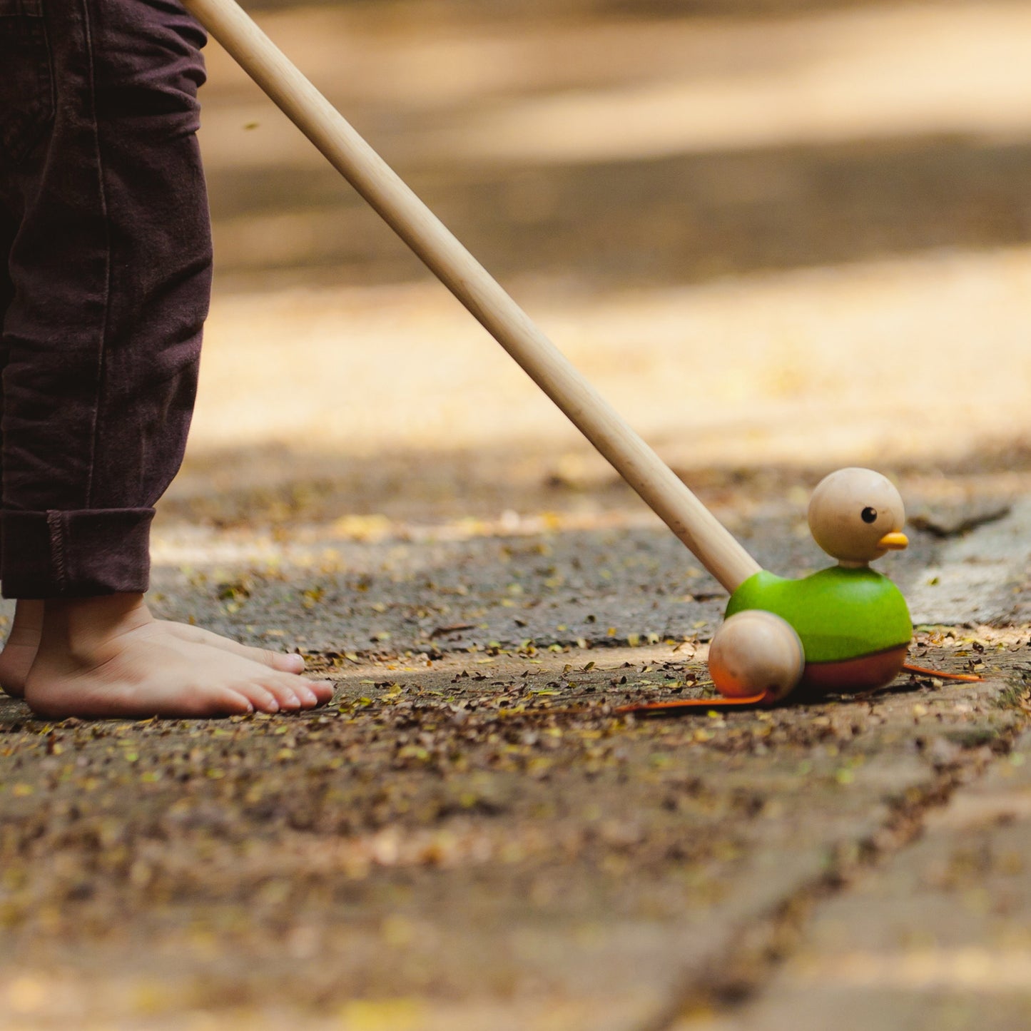 PUSH AND PULL DUCK