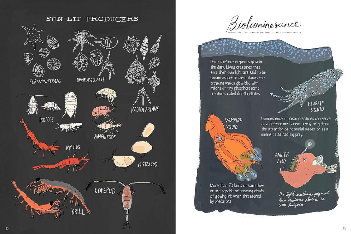 OCEAN ANATOMY: THE CURIOUS PARTS & PIECES