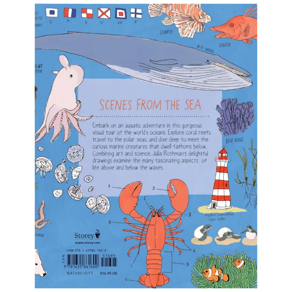 OCEAN ANATOMY: THE CURIOUS PARTS & PIECES