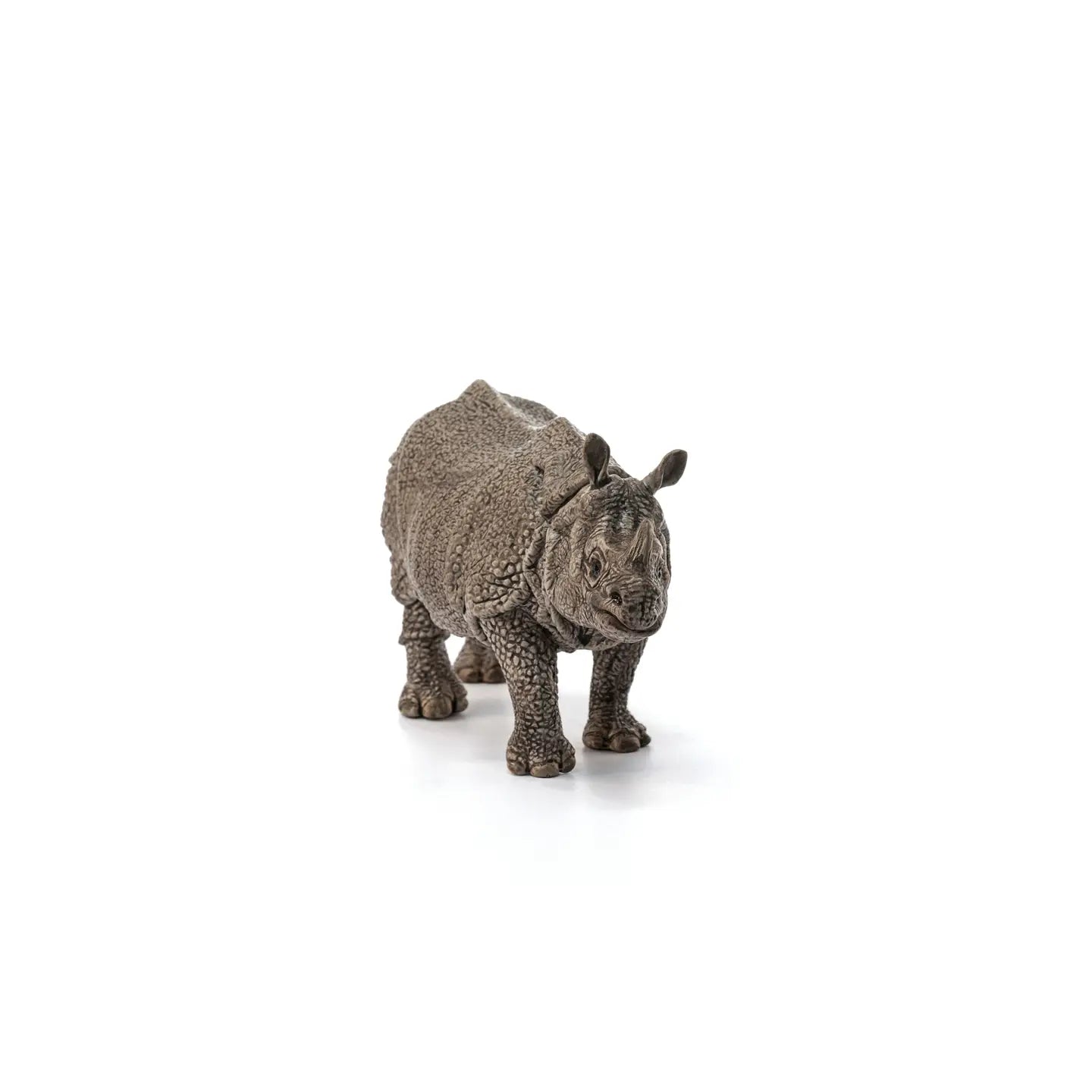 INDIAN RHINOCEROS