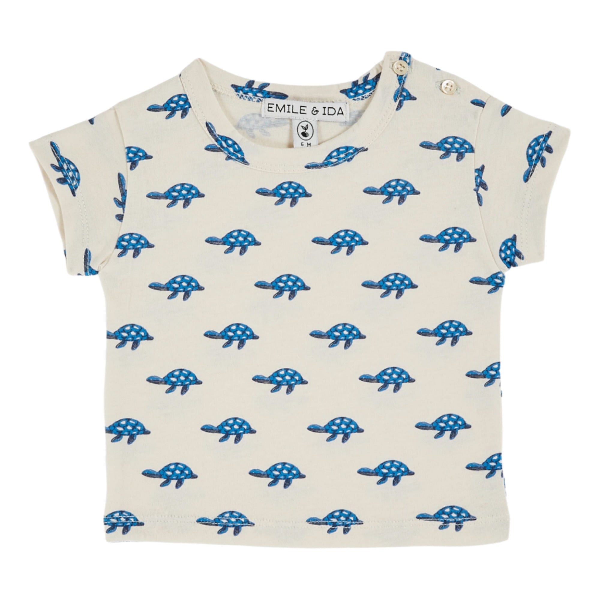 TURTLE TEE SHIRT - Little-ish