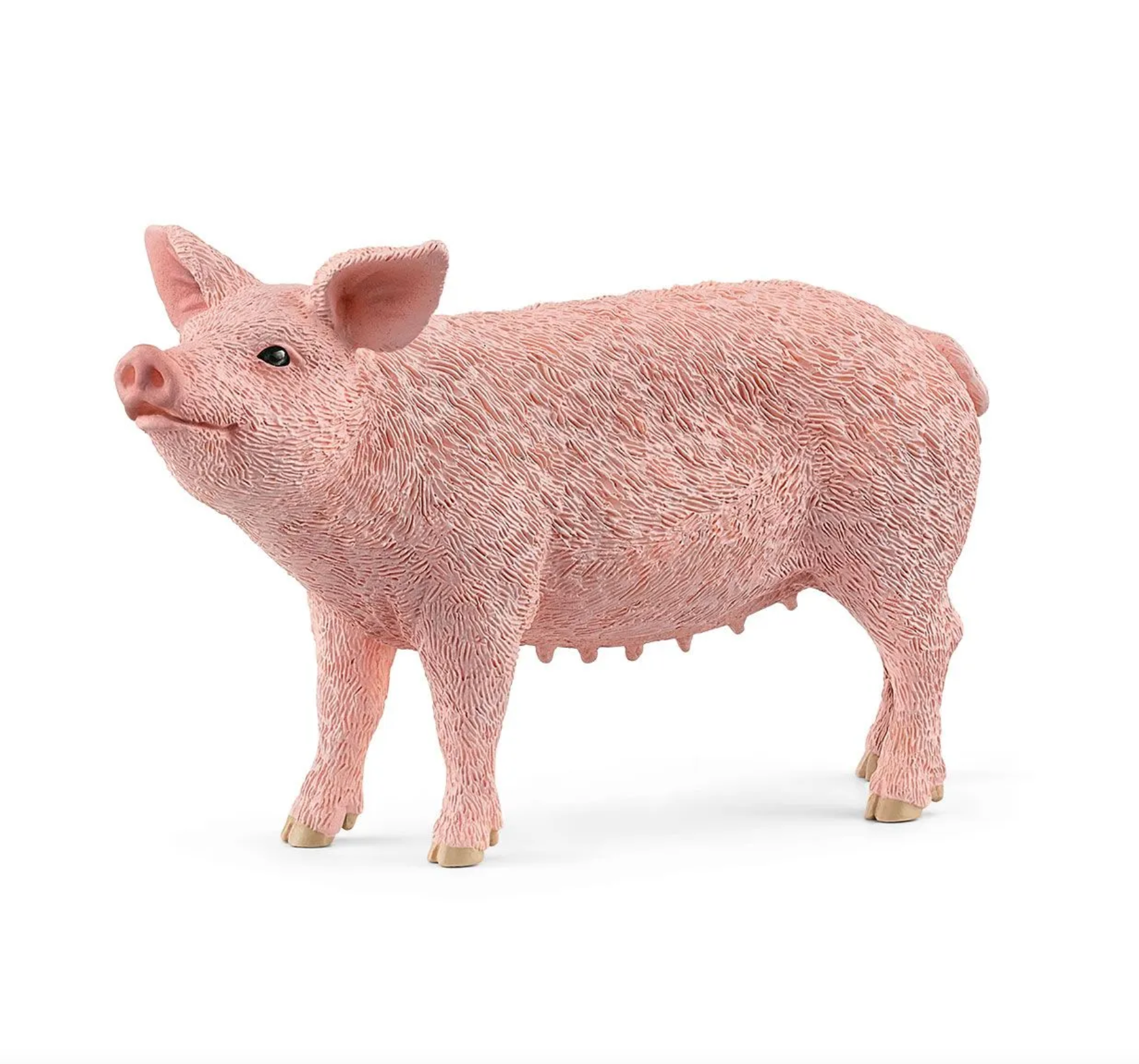 SCHLEICH PIG - Little-ish