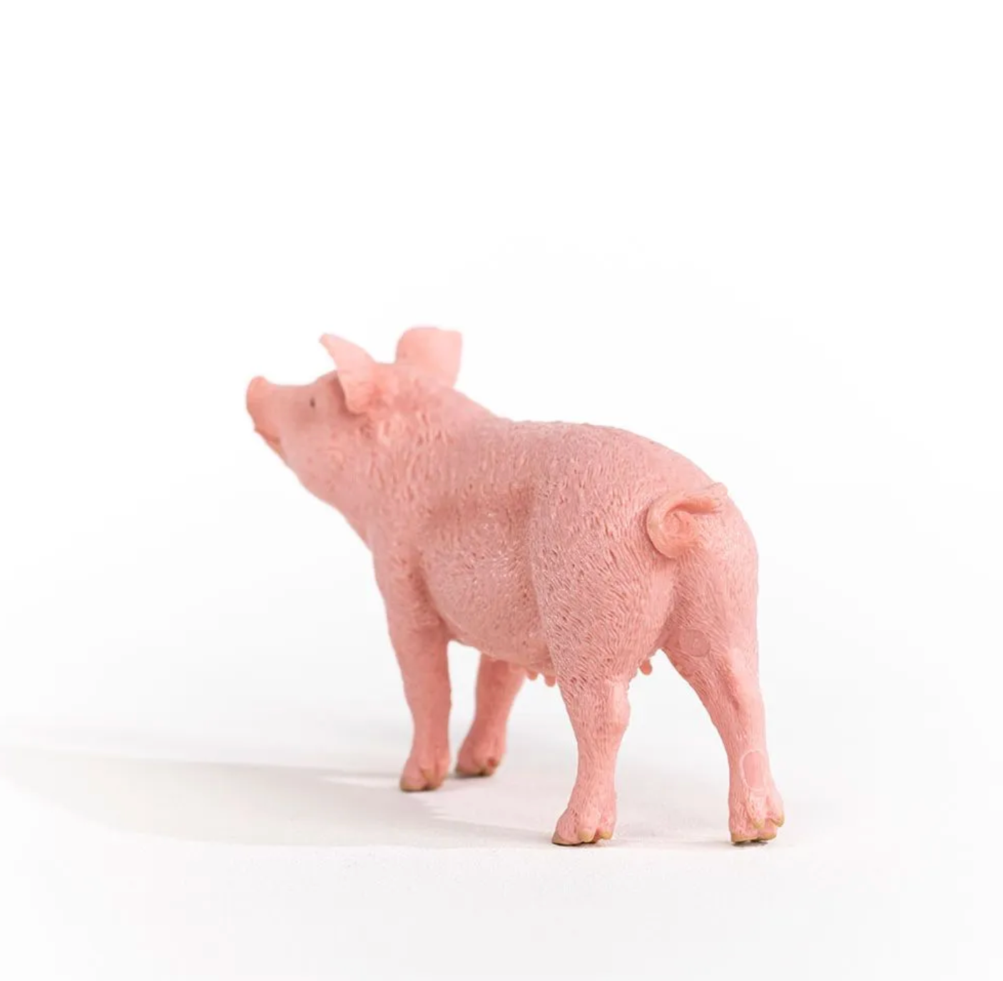 SCHLEICH PIG