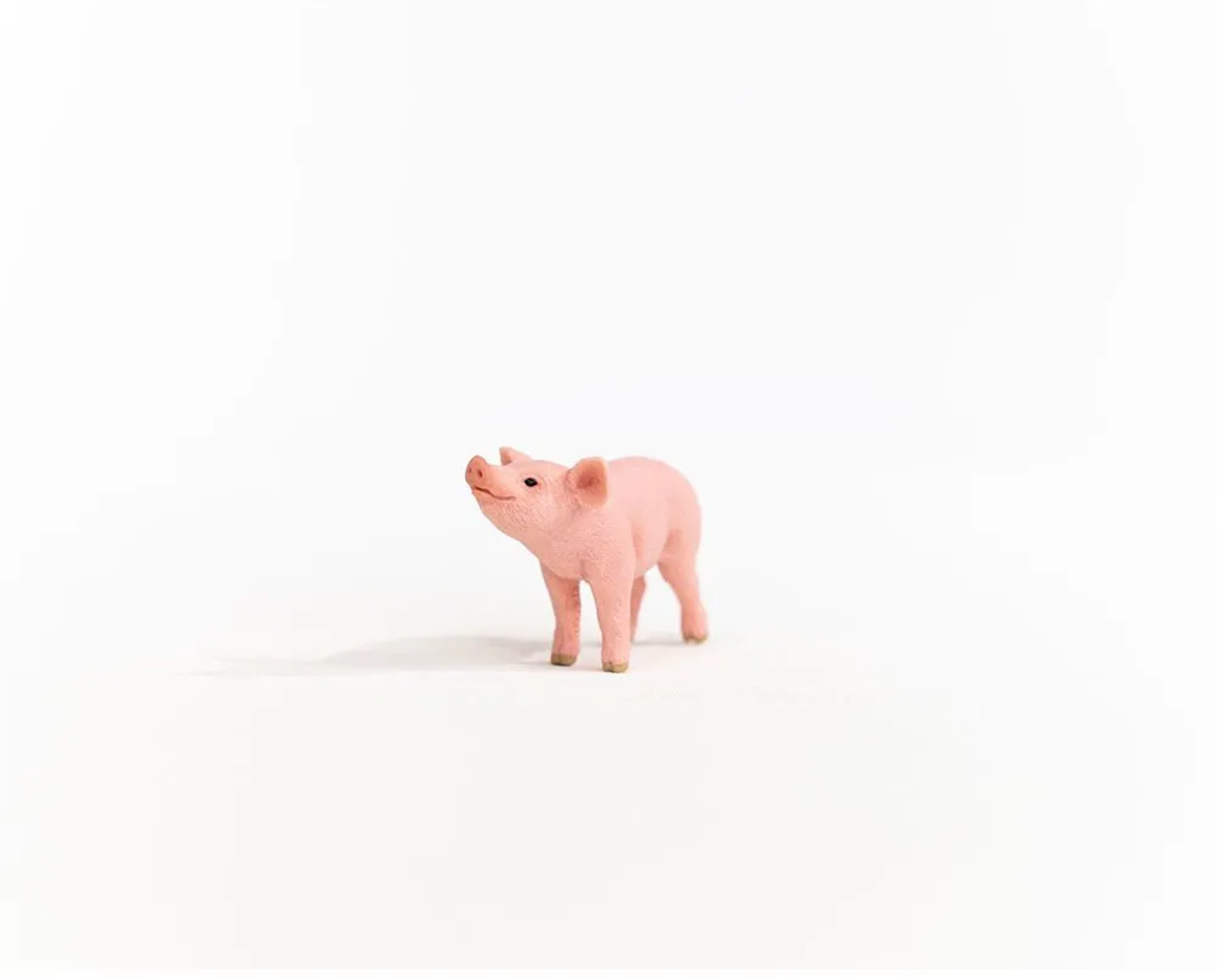 SCHLEICH PIGLET