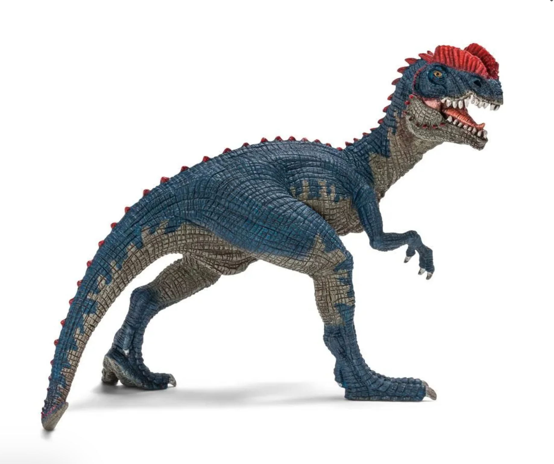 SCHLEICH DILOPHOSAURUS REX DINOSAUR -MOVEABLE JAW - Little-ish