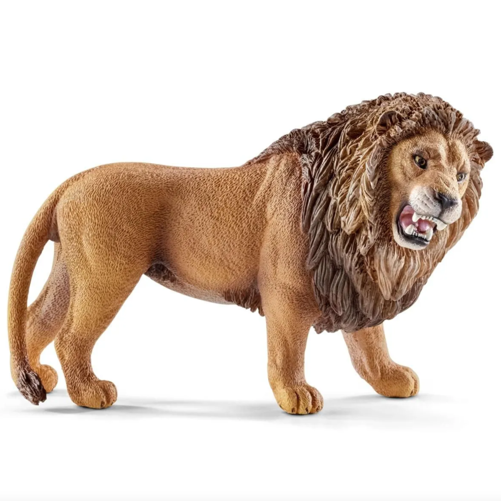 SCHLEICH LION ROARING - Little-ish
