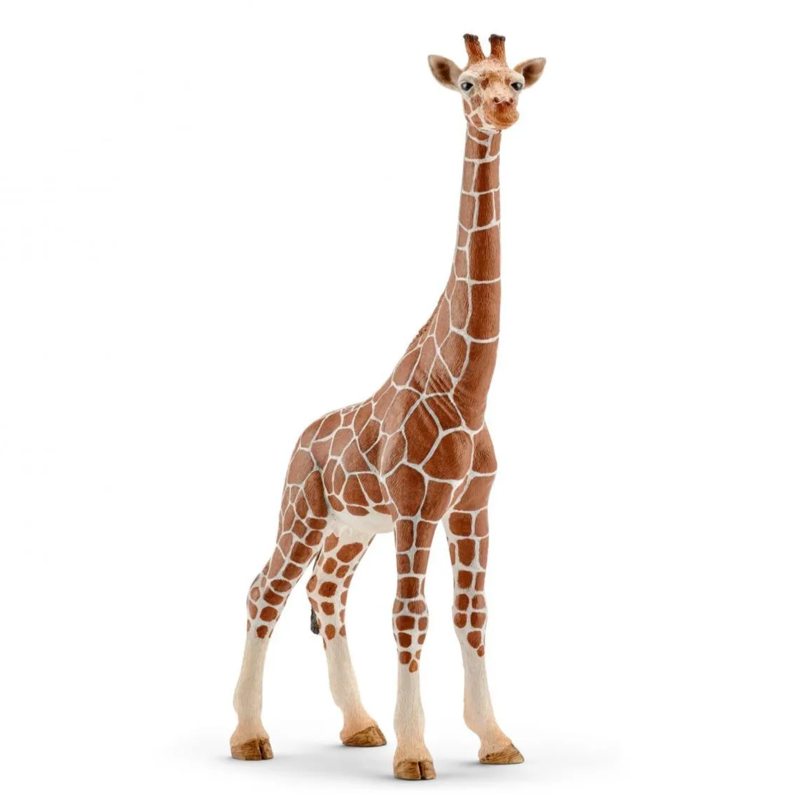 SCHLEICH GIRAFFE - FEMALE - Little-ish