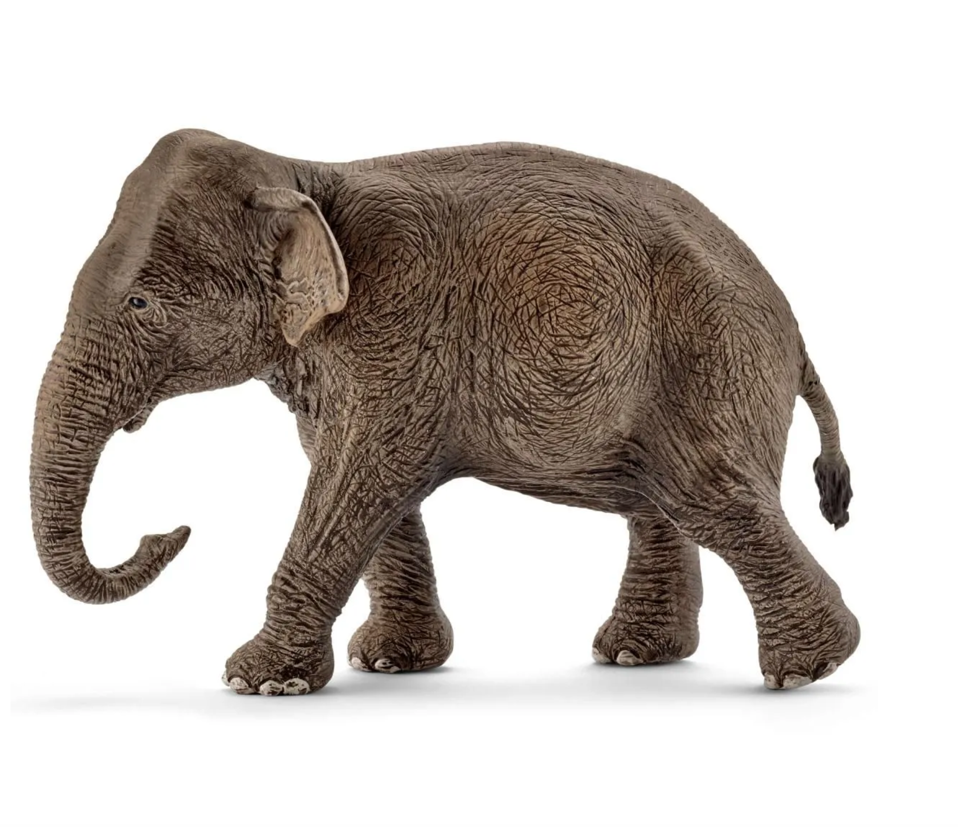 SCHLEICH ASIAN ELEPHANT FEMALE - Little-ish
