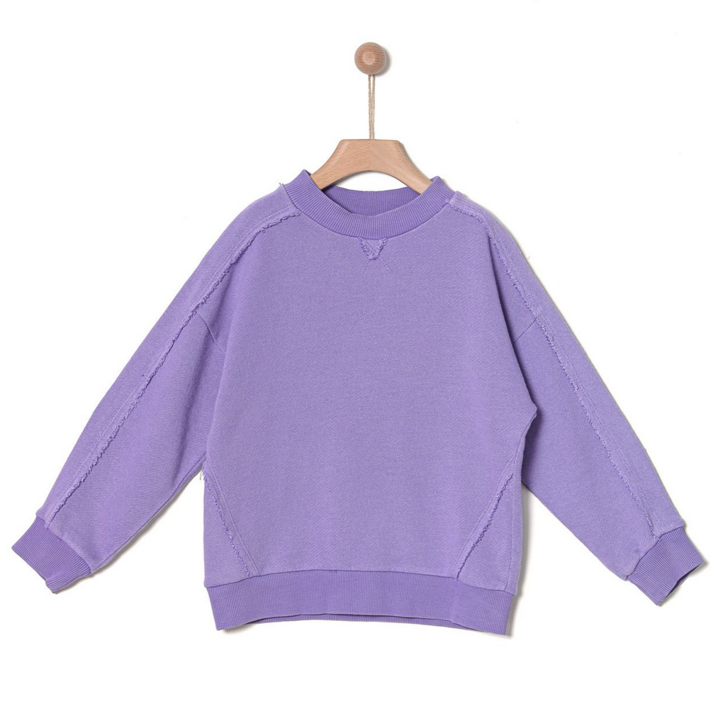 SWEATSHIRT VINTAGE WASH - Little-ish