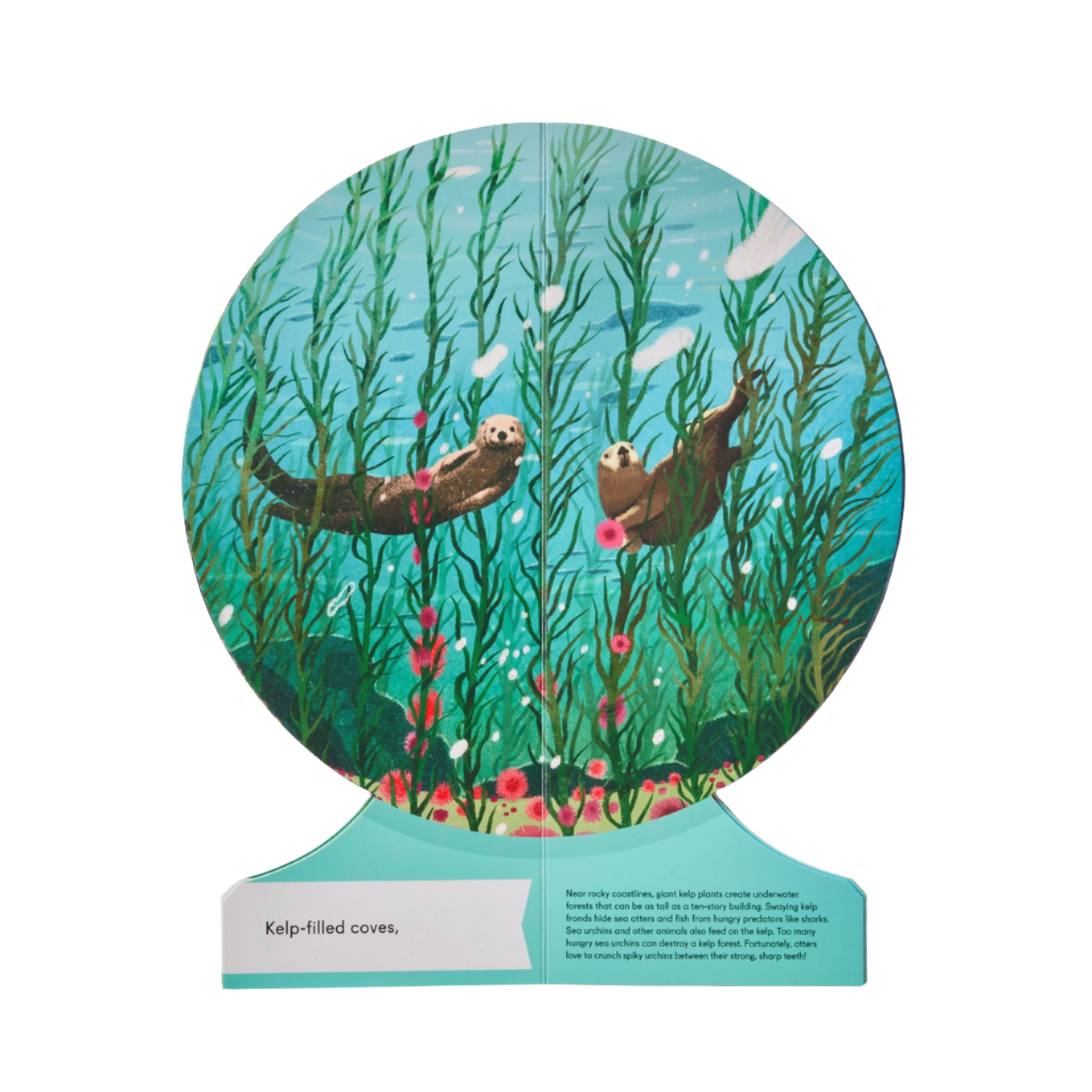 OUR UNDERWATER WORLD