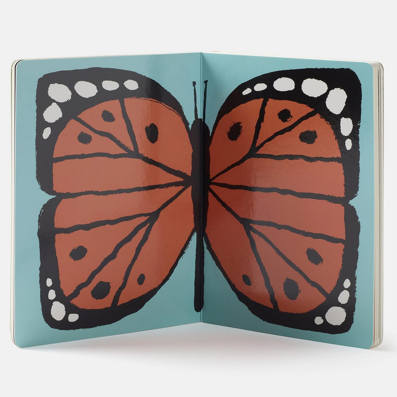 THIS IS NOT A BOOK - Little-ish
