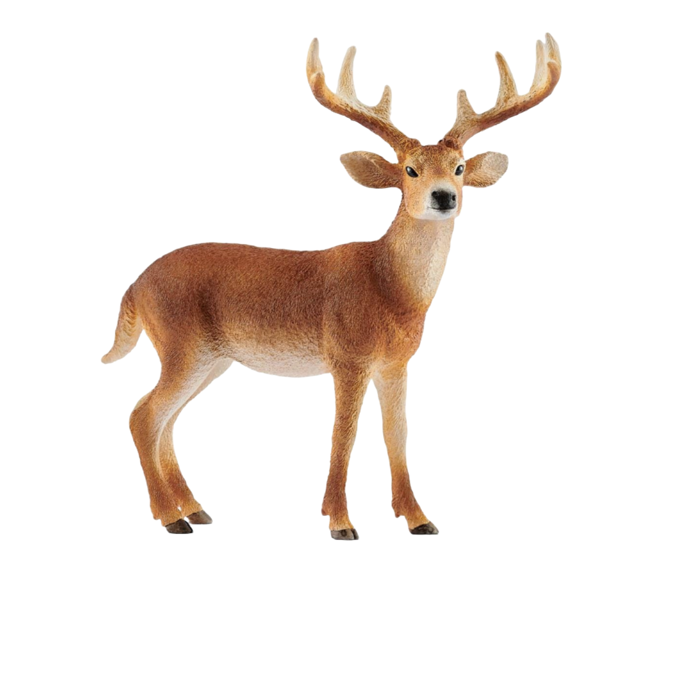 SCHLEICH WHITE TAILED BUCK - Little-ish