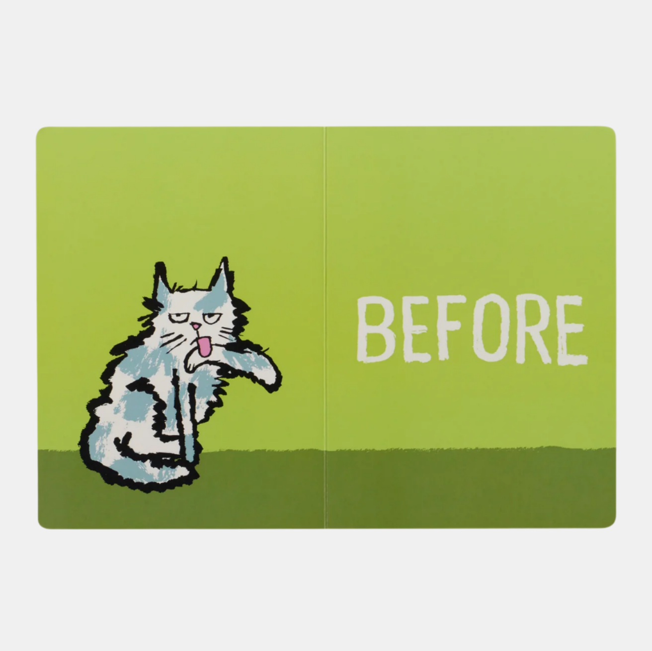 BEFORE AND AFTER BOARD BOOK - Little-ish