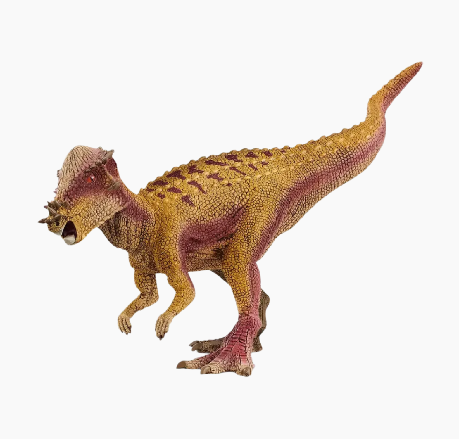 SCHLEICH PACHYCEPHALOSAURUS DINOSAUR - Little-ish