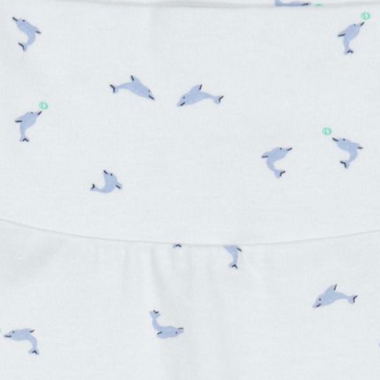 DOLPHIN PIVA LEGGINGS - Little-ish