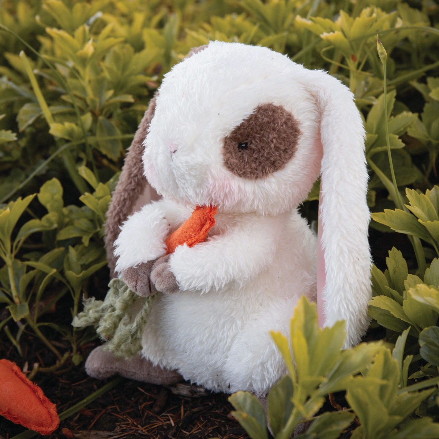 HERBY HARE BUNNY