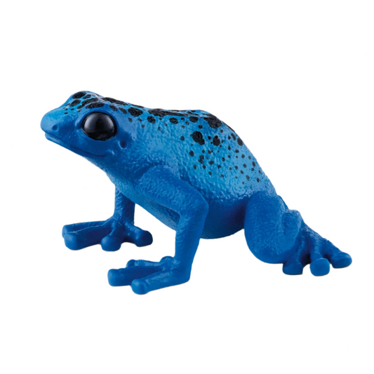 BLUE POISONDART FROG