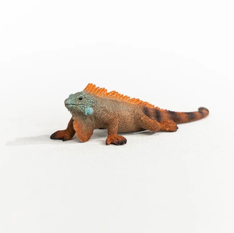 SCHLEICH IGUANA - Little-ish
