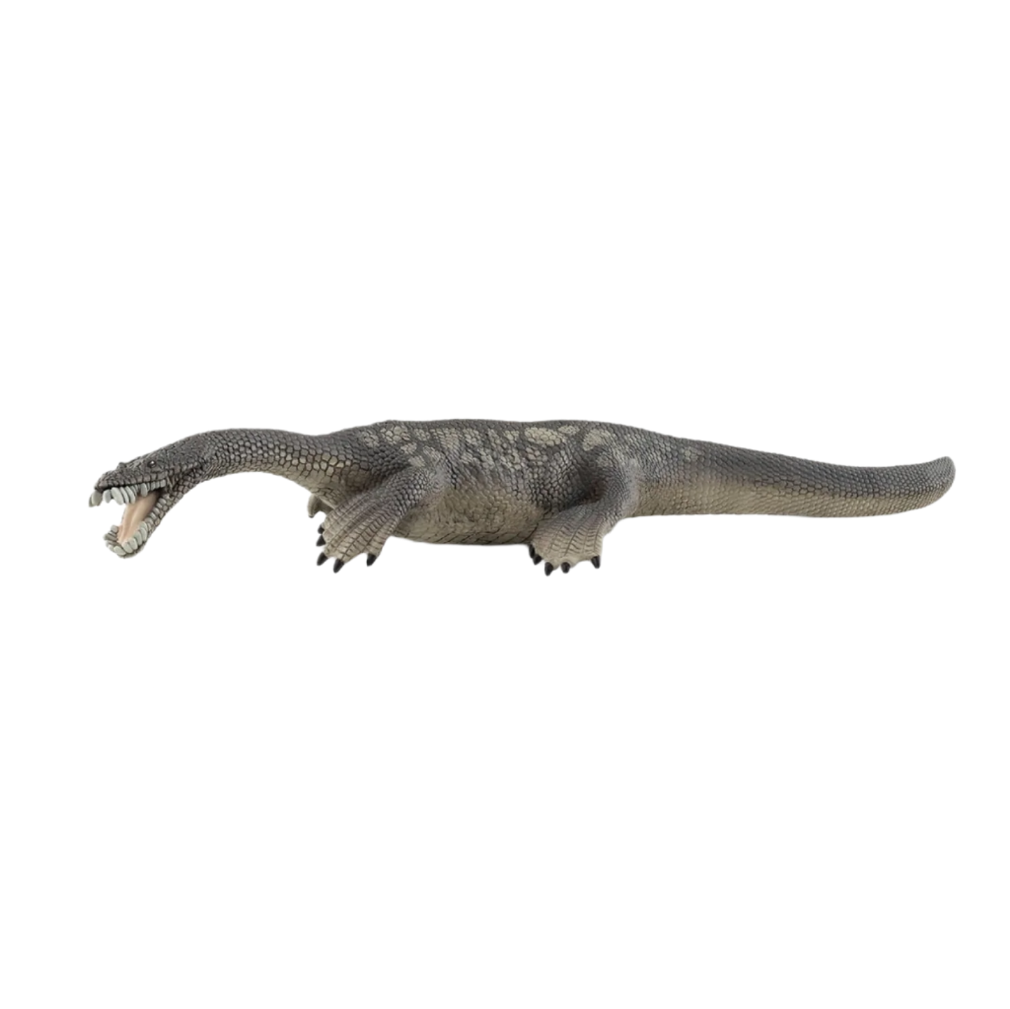 SCHLEICH NOTHOSAURUS DINOSAUR - Little-ish