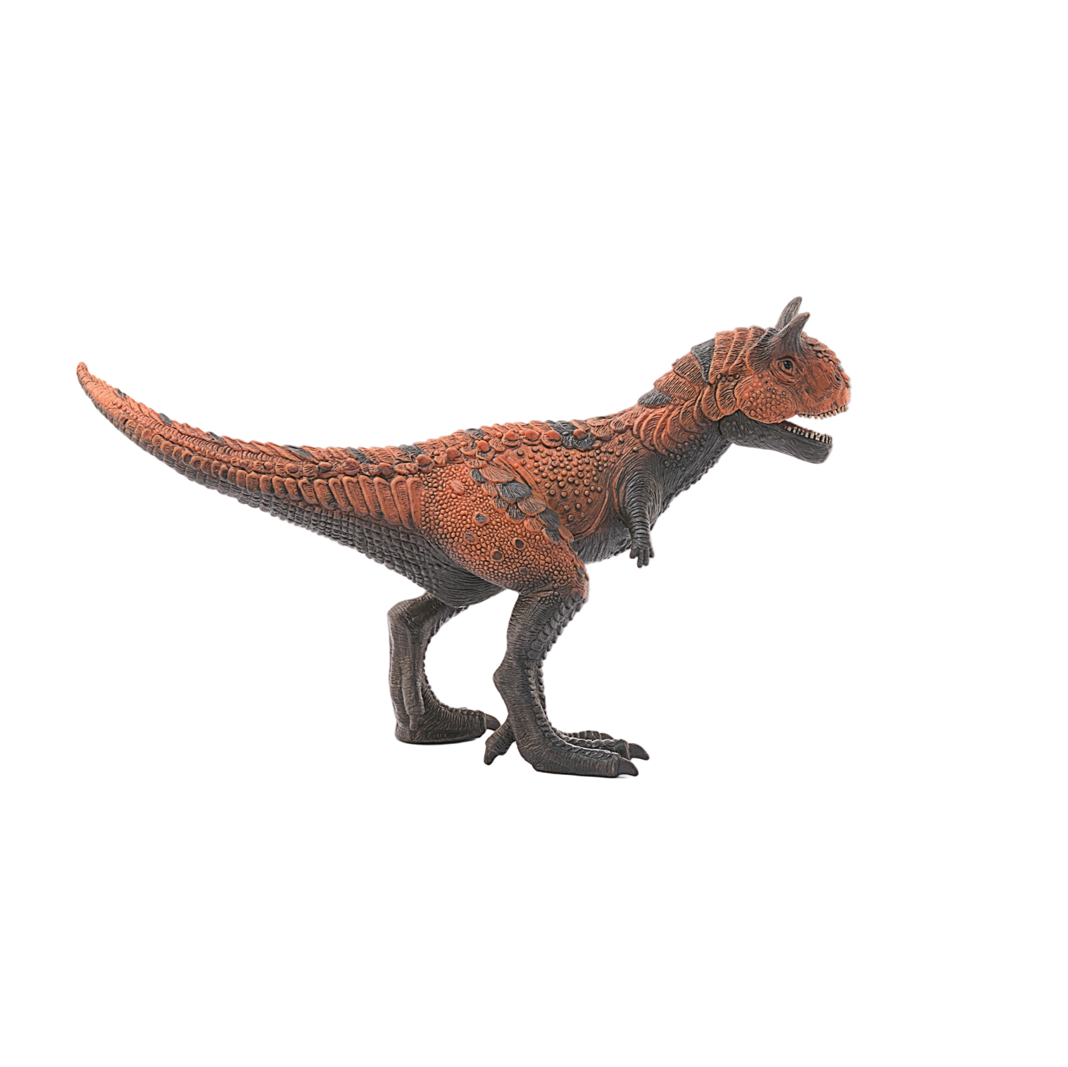 SCHLEICH CARNOTAURUS DINOSAUR - Little-ish